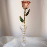 Classics - Eternal 24K Gold-Plated Rose - Blush