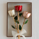 Classics - Eternal 24K Gold-Plated Rose - Blush