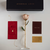 Classics - Eternal 24K Gold-Plated Rose - Blush