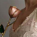Classics - Eternal 24K Gold-Plated Rose - Blush