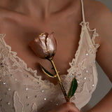 Classics - Eternal 24K Gold-Plated Rose - Blush