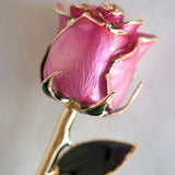 Icons - Eternal 24K Gold-Plated Rose - Pink