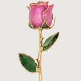 Icons - Eternal 24K Gold-Plated Rose - Pink