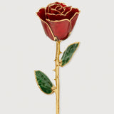 Eternal 24K Gold Plated Rose - Red