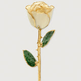 Eternal 24K Gold Plated Rose - Ivory