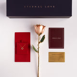Classics - Eternal 24K Gold-Plated Rose - Blush