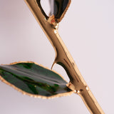 Open Bloom - Eternal 24K Gold-Plated Rose - Red