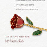 Eternal 24K Gold Plated Rose - Red