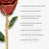 Eternal 24K Gold Plated Rose - Red