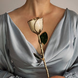 Eternal 24K Gold Plated Rose - Ivory