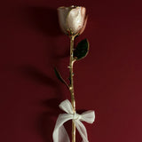 Eternal 24K Gold Plated Rose - Blush