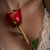 Eternal 24K Gold Plated Rose - Red