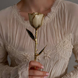 Eternal 24K Gold Plated Rose - Ivory