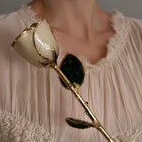 Eternal 24K Gold Plated Rose - Ivory