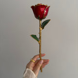 Eternal 24K Gold Plated Rose - Red