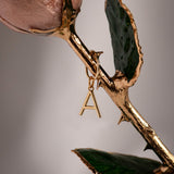 Classics - Eternal 24K Gold-Plated Rose - Ivory