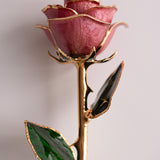 Open Bloom - Eternal 24K Gold-Plated Rose - Berry