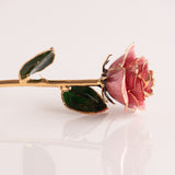 Open Bloom - Eternal 24K Gold-Plated Rose - Berry