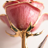 Open Bloom - Eternal 24K Gold-Plated Rose - Berry