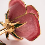 Open Bloom - Eternal 24K Gold-Plated Rose - Berry