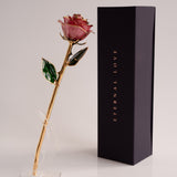 Open Bloom - Eternal 24K Gold-Plated Rose - Berry