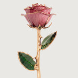 Open Bloom - Eternal 24K Gold-Plated Rose - Berry