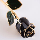 Signature - Eternal 24K Gold-Plated Rose - Black