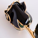 Signature - Eternal 24K Gold-Plated Rose - Black
