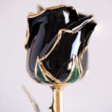 Signature - Eternal 24K Gold-Plated Rose - Black