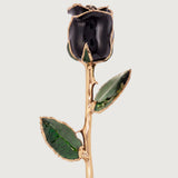 Signature - Eternal 24K Gold-Plated Rose - Black