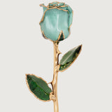 Signature - Eternal 24K Gold-Plated Rose - Ice Blue