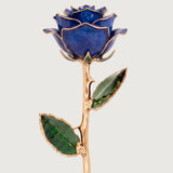 Open Bloom - Eternal 24K Gold-Plated Rose - Sapphire Blue