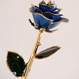 Open Bloom - Eternal 24K Gold-Plated Rose - Sapphire Blue