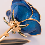 Open Bloom - Eternal 24K Gold-Plated Rose - Sapphire Blue