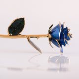 Open Bloom - Eternal 24K Gold-Plated Rose - Sapphire Blue