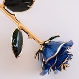 Open Bloom - Eternal 24K Gold-Plated Rose - Sapphire Blue
