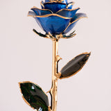 Open Bloom - Eternal 24K Gold-Plated Rose - Sapphire Blue