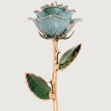 Open Bloom - Eternal 24K Gold-Plated Rose - Aqua Blue