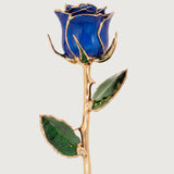 Icons - Eternal 24K Gold-Plated Rose - Royal Blue