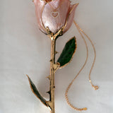 Classics - Eternal 24K Gold-Plated Rose - Blush
