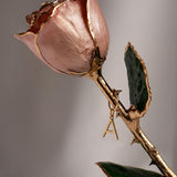 Classics - Eternal 24K Gold-Plated Rose - Blush