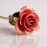 Open Bloom - Eternal 24K Gold-Plated Rose - Blush