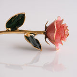 Open Bloom - Eternal 24K Gold-Plated Rose - Blush