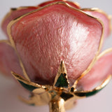 Open Bloom - Eternal 24K Gold-Plated Rose - Blush