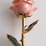 Open Bloom - Eternal 24K Gold-Plated Rose - Blush