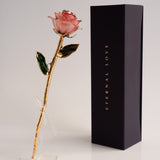 Open Bloom - Eternal 24K Gold-Plated Rose - Blush