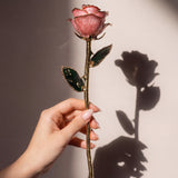 Open Bloom - Eternal 24K Gold-Plated Rose - Blush