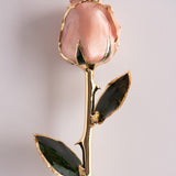 Signature - Eternal 24K Gold-Plated Rose - Pearl Blush