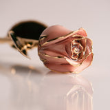 Signature - Eternal 24K Gold-Plated Rose - Pearl Blush