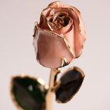 Signature - Eternal 24K Gold-Plated Rose - Pearl Blush